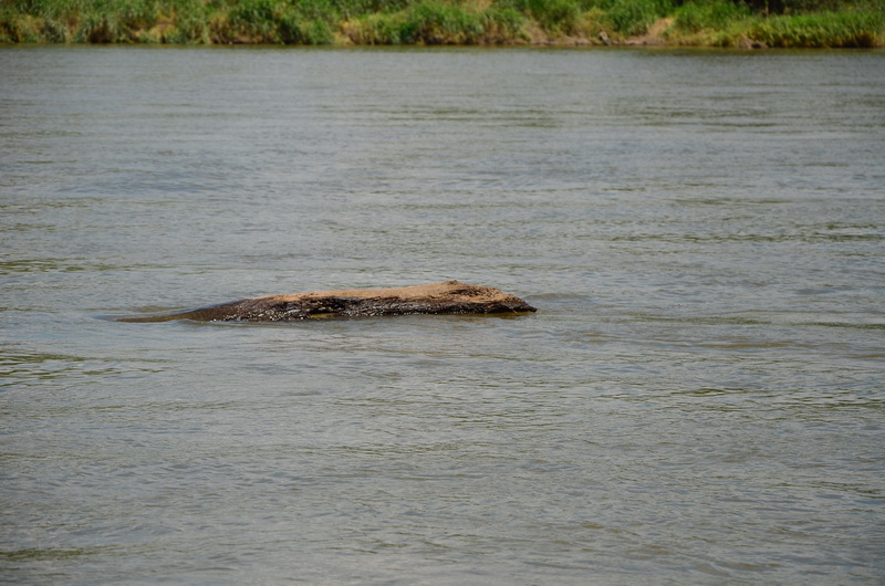 Manewry 2014 wisla 0038